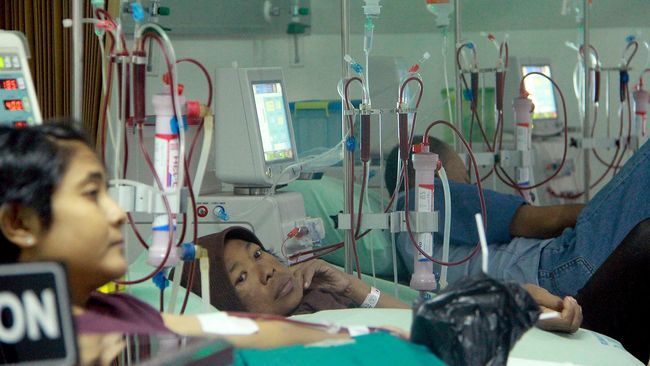 Situs News Indoesia Alternatif Informasi Berita Viral Terbaru